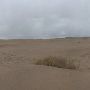 Little Sahara Sand Dunes