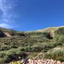 Thousand Peaks Ranch - Summer
