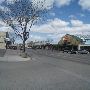 Vernal