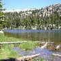 Camp Steiner