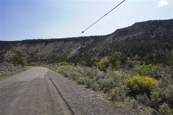 Spring Canyon Road (9/28/2021 - Credits: Celi Haslam)