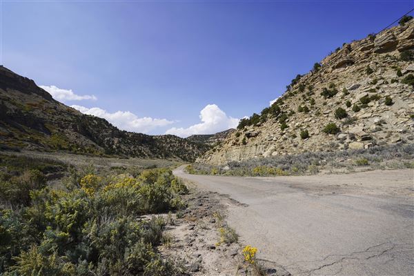 Spring Canyon Road (9/28/2021 - Credits: Celi Haslam)