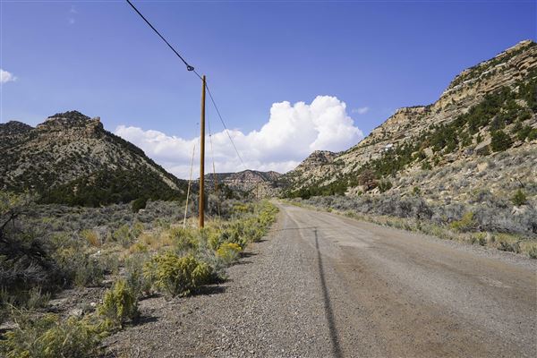 Spring Canyon Road (9/28/2021 - Credits: Celi Haslam)