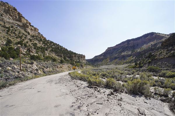 Spring Canyon Road (9/28/2021 - Credits: Celi Haslam)
