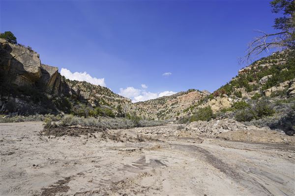 Spring Canyon Road (9/28/2021 - Credits: Celi Haslam)
