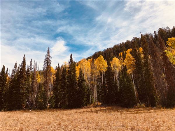 Thousand Peaks Ranch - Summer (8/7/2024)