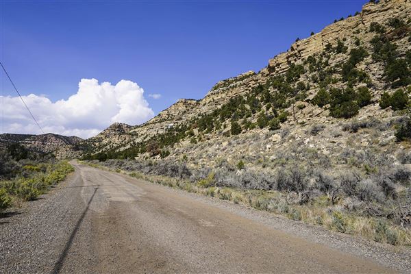 Spring Canyon Road (9/28/2021 - Credits: Celi Haslam)