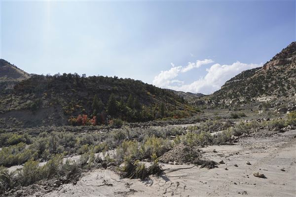Spring Canyon Road (9/28/2021 - Credits: Celi Haslam)
