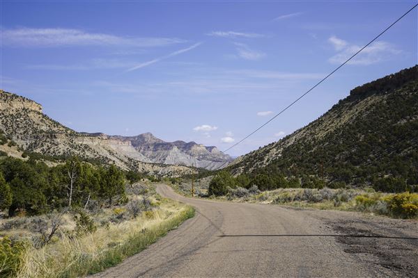 Spring Canyon Road (9/28/2021 - Credits: Celi Haslam)