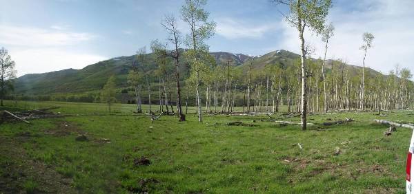 Thousand Peaks Ranch - Summer (5/25/2006 - Credits: Mimi Davis-Taylor)