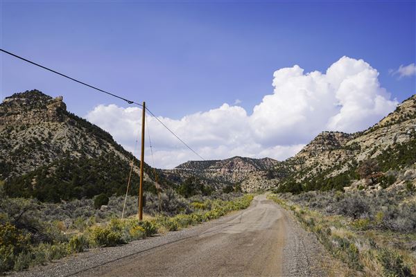Spring Canyon Road (9/28/2021 - Credits: Celi Haslam)