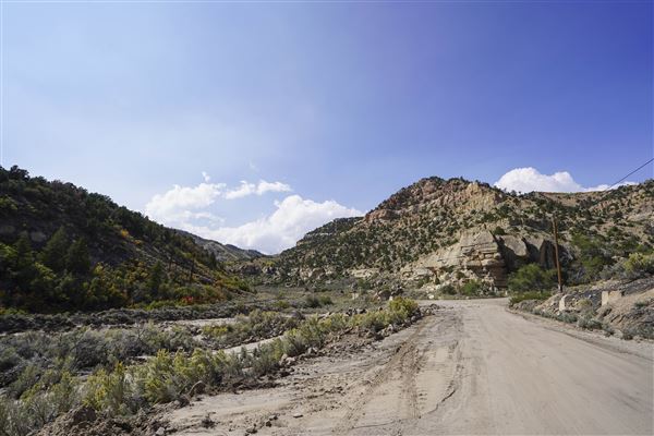 Spring Canyon Road (9/28/2021 - Credits: Celi Haslam)
