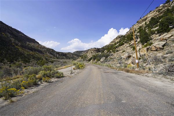 Spring Canyon Road (9/28/2021 - Credits: Celi Haslam)
