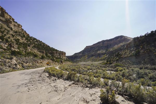 Spring Canyon Road (9/28/2021 - Credits: Celi Haslam)