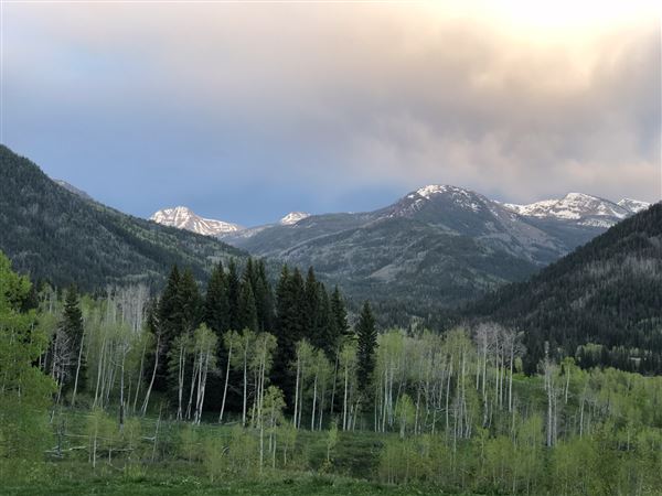 Thousand Peaks Ranch - Summer (8/7/2024)