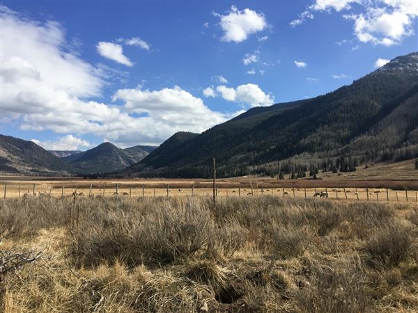 Thousand Peaks Ranch - Summer (8/7/2024)