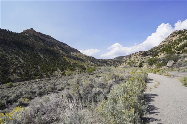 Spring Canyon Road (9/28/2021 - Credits: Celi Haslam)
