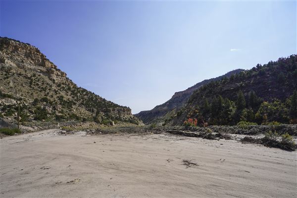 Spring Canyon Road (9/28/2021 - Credits: Celi Haslam)