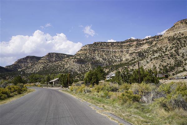 Spring Canyon Road (9/28/2021 - Credits: Celi Haslam)