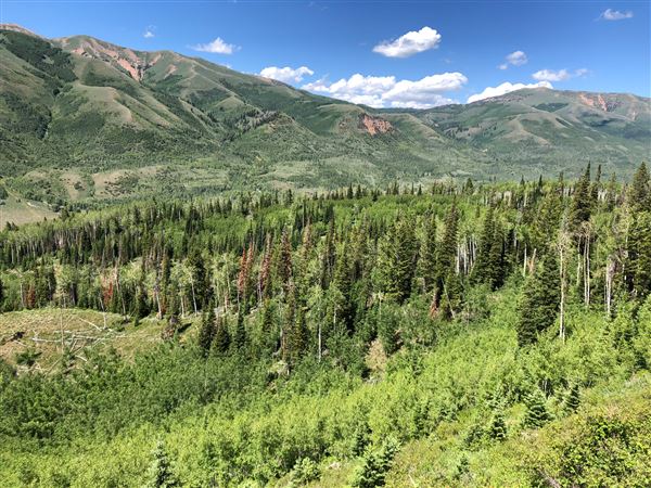 Thousand Peaks Ranch - Summer (8/7/2024)