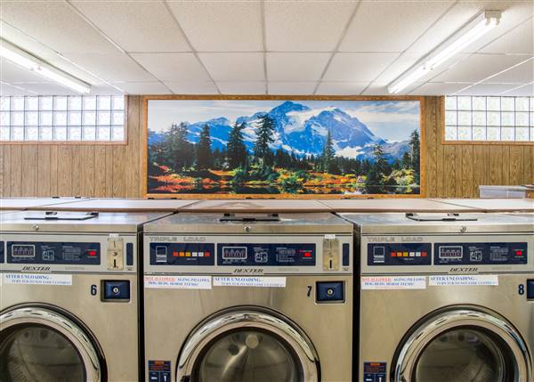 Buhler Laundry