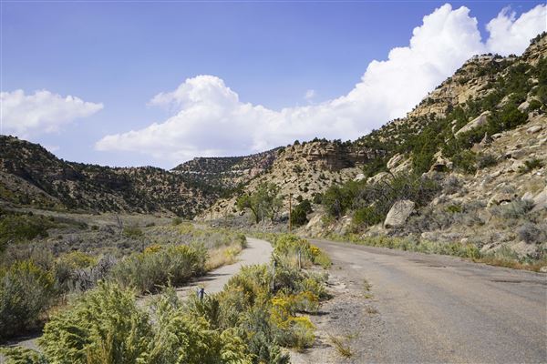 Spring Canyon Road (9/28/2021 - Credits: Celi Haslam)