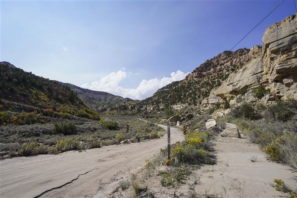 Spring Canyon Road (9/28/2021 - Credits: Celi Haslam)