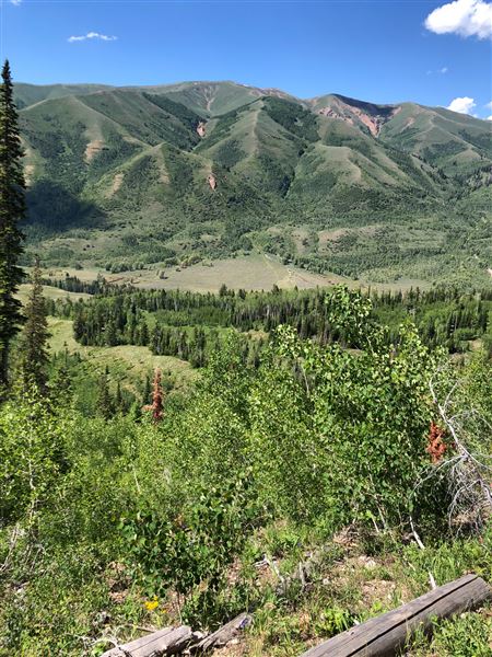 Thousand Peaks Ranch - Summer (8/7/2024)