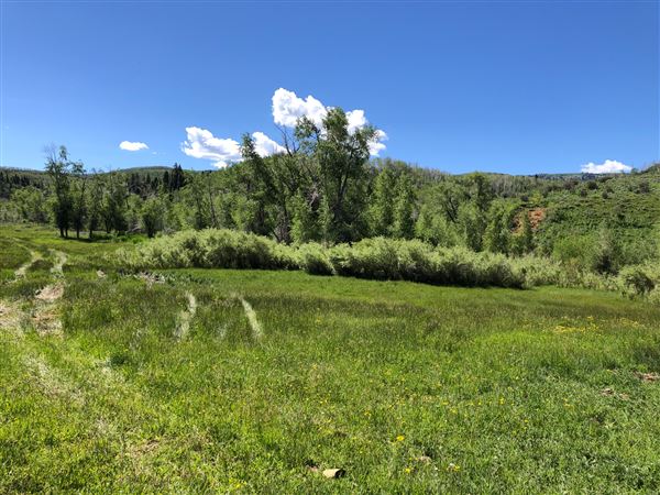 Thousand Peaks Ranch - Summer (8/7/2024)