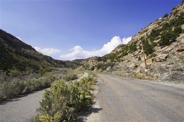Spring Canyon Road (9/28/2021 - Credits: Celi Haslam)
