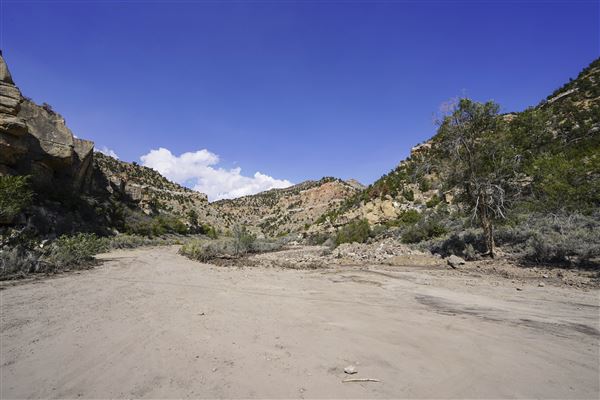 Spring Canyon Road (9/28/2021 - Credits: Celi Haslam)