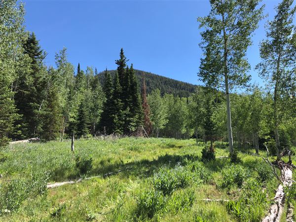 Thousand Peaks Ranch - Summer (8/7/2024)