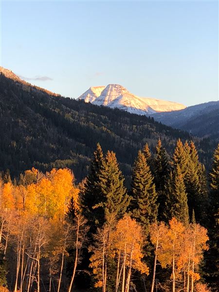 Thousand Peaks Ranch - Summer (8/7/2024)