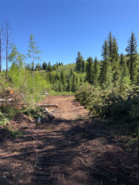 Thousand Peaks Ranch - Summer (8/7/2024)