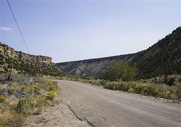 Spring Canyon Road (9/28/2021 - Credits: Celi Haslam)