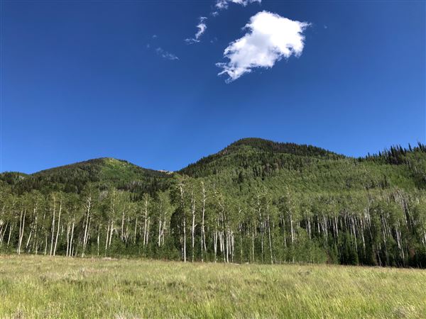 Thousand Peaks Ranch - Summer (8/7/2024)