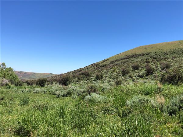 Thousand Peaks Ranch - Summer (8/7/2024)