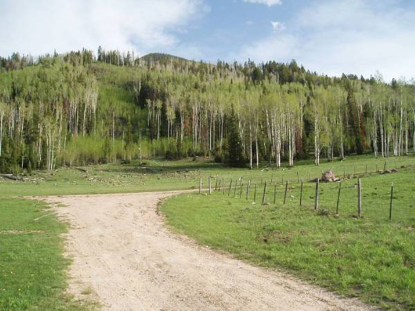 Thousand Peaks Ranch - Summer (5/25/2006 - Credits: Mimi Davis-Taylor)