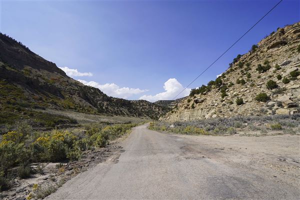 Spring Canyon Road (9/28/2021 - Credits: Celi Haslam)