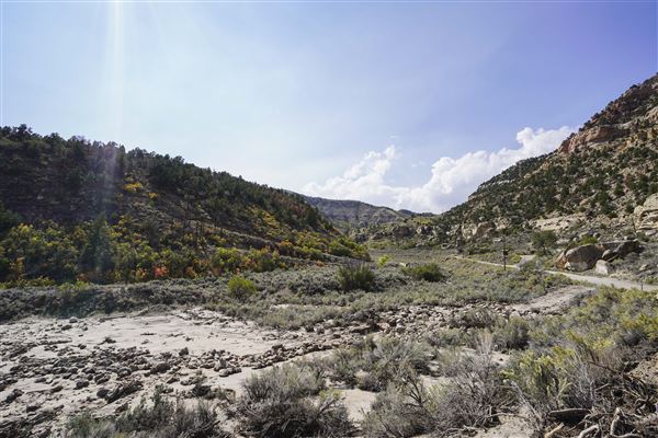 Spring Canyon Road (9/28/2021 - Credits: Celi Haslam)