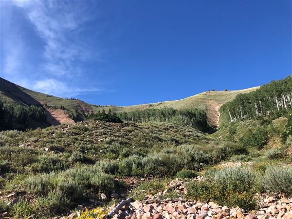 Thousand Peaks Ranch - Summer (8/7/2024)