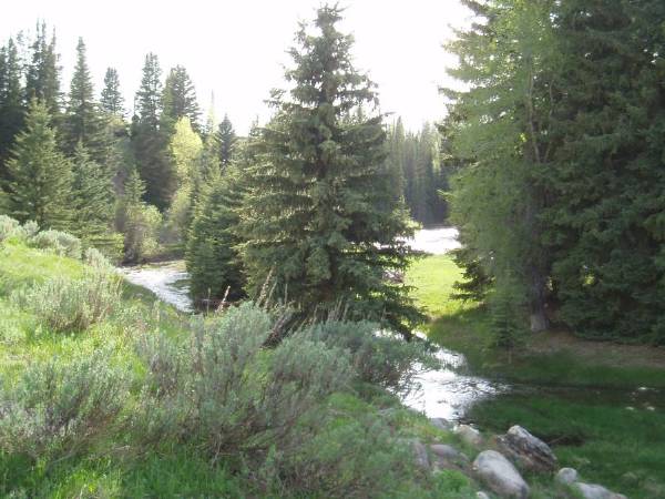 Thousand Peaks Ranch - Summer (5/25/2006 - Credits: Mimi Davis-Taylor)